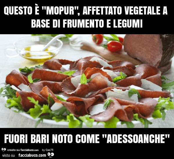 Questo è "mopur", affettato vegetale a base di frumento e legumi fuori bari noto come "adessoanche"