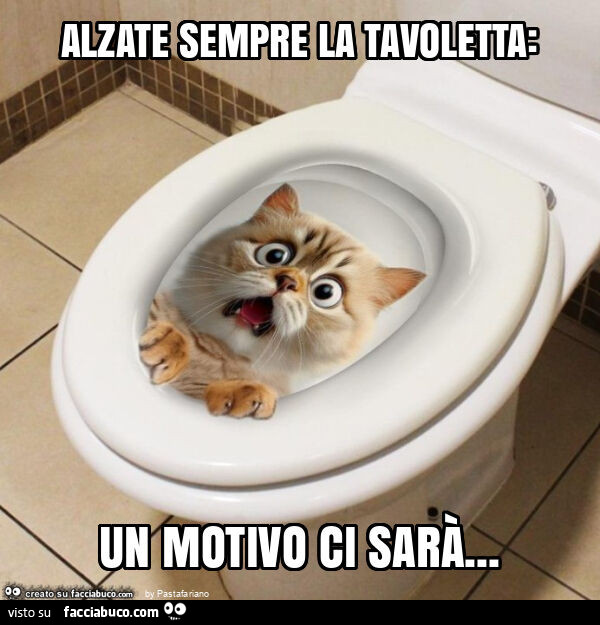 Alzate sempre la tavoletta: un motivo ci sarà