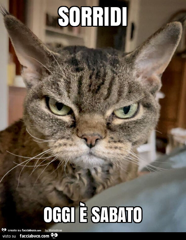 Sorridi oggi è sabato