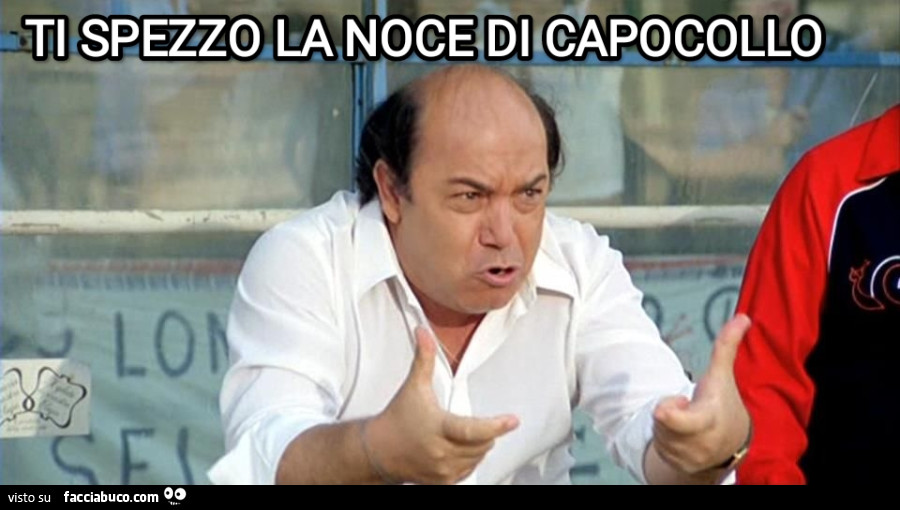 Vaccata