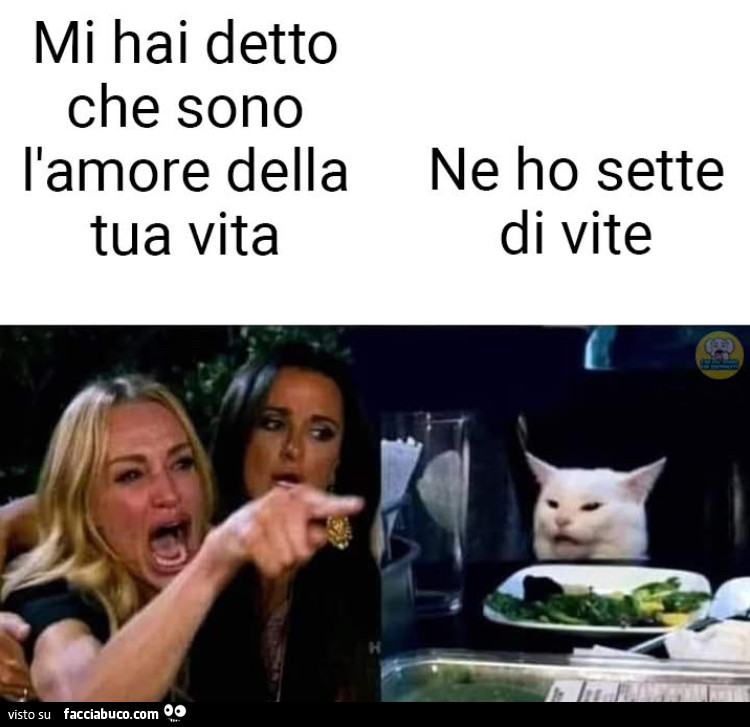 Vaccata