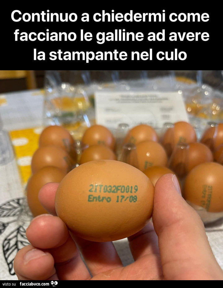 Vaccata