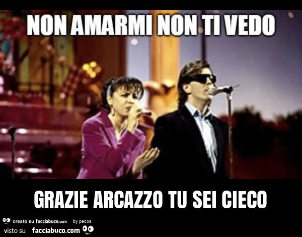 Grazie arcazzo tu sei cieco