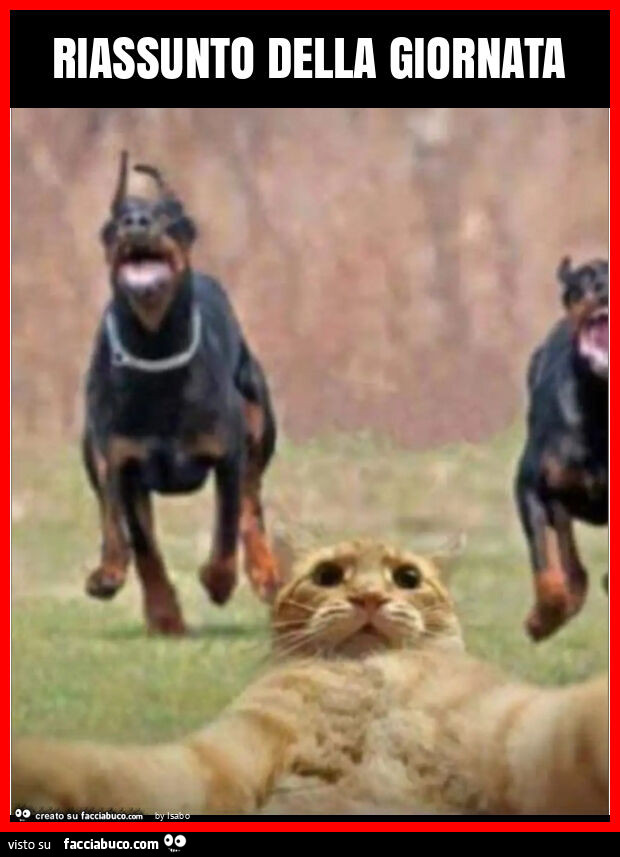 Riassunto della giornata