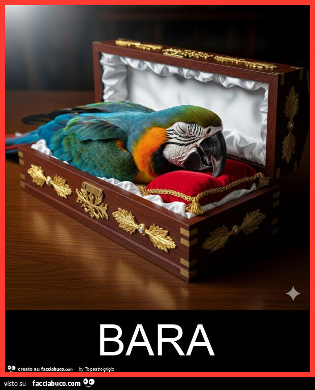 Bara
