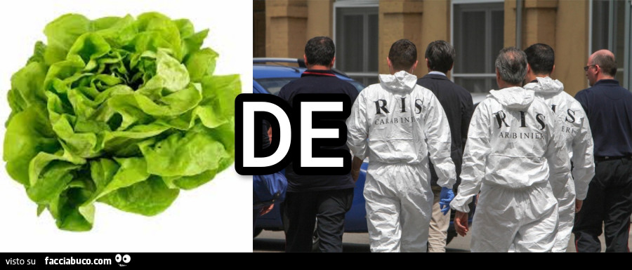 Insalata di ris