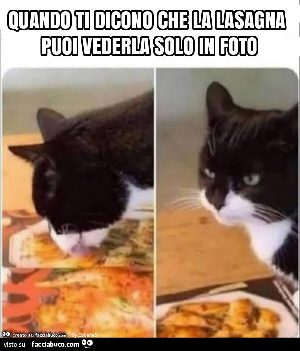 Quando ti dicono che la lasagna puoi vederla solo in foto