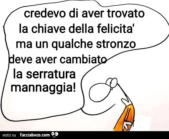 Credevo di aver trovato la chiave della felicità ma un qualche stronzo deve aver cambiato la serratura mannaggia