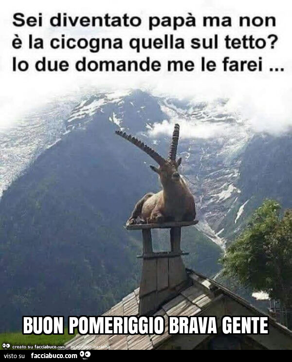 Buon pomeriggio brava gente