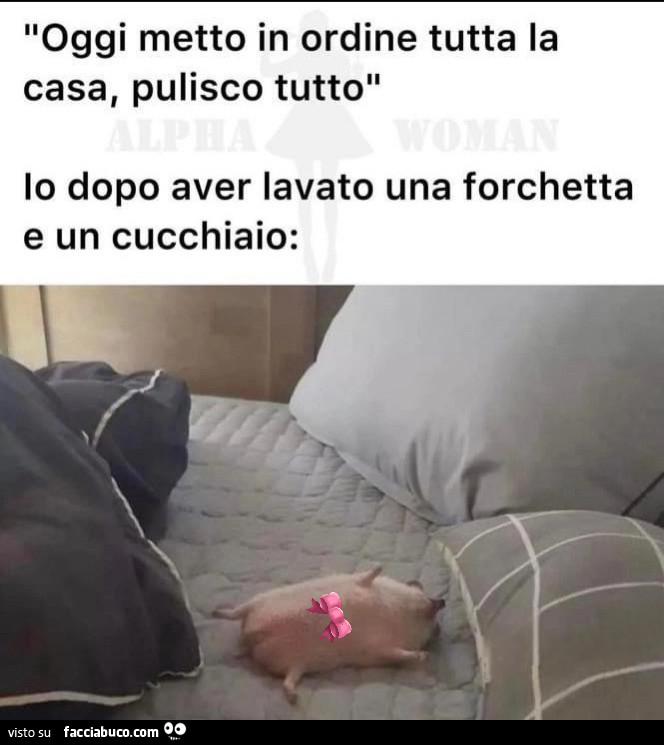 Vaccata