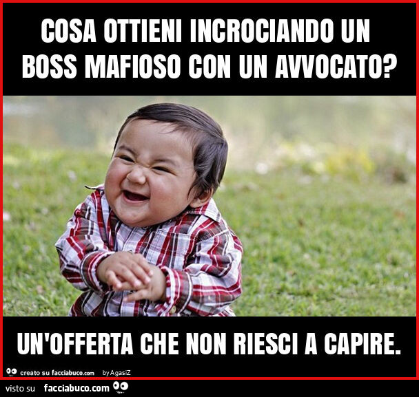 Cosa ottieni incrociando un boss mafioso con un avvocato? Un'offerta che non riesci a capire