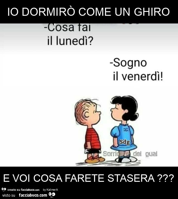 Io dormirò come un ghiro e voi cosa farete stasera?