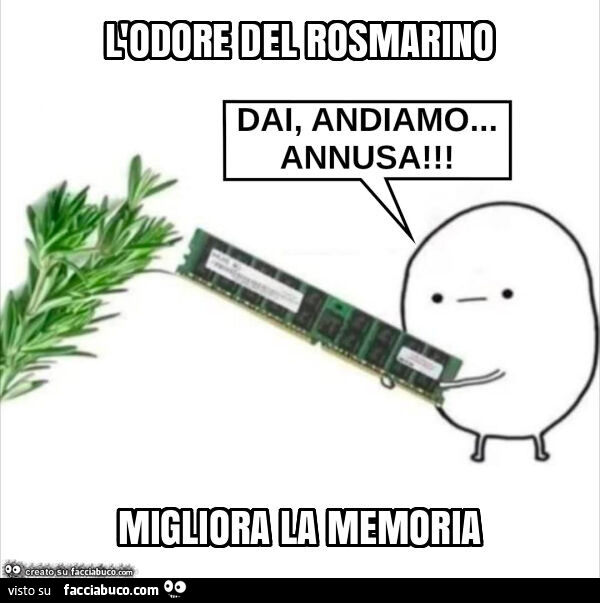 L'odore del rosmarino migliora la memoria