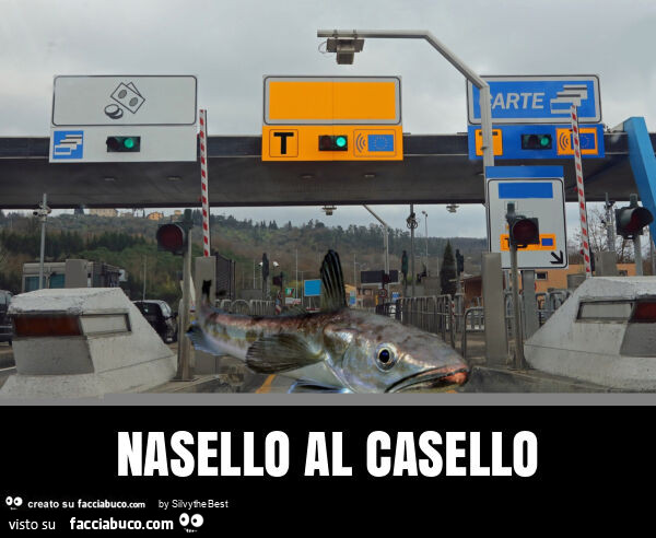 Nasello al casello