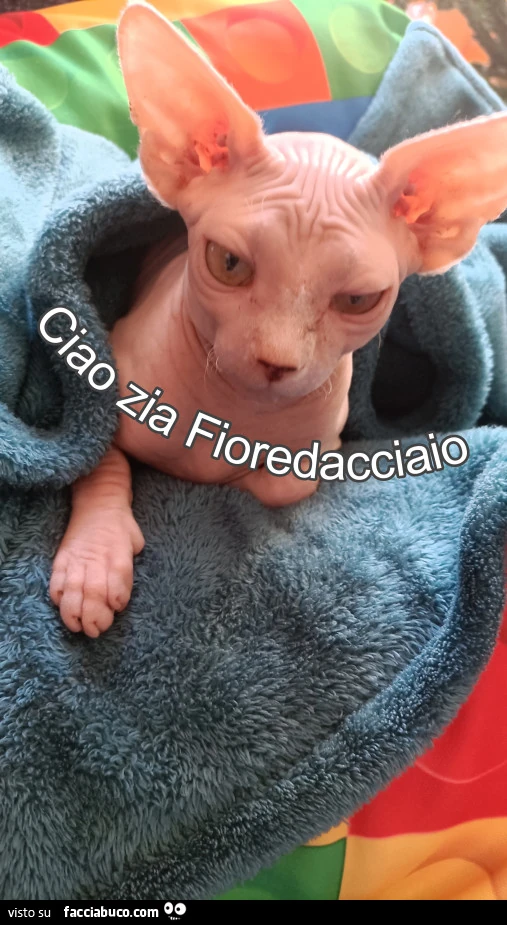 Vaccata