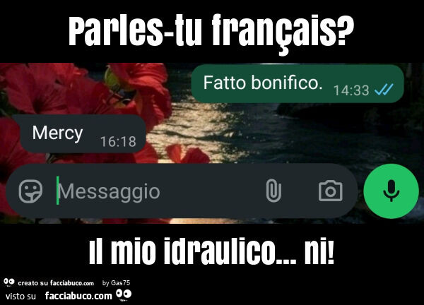 Parles-tu français? Il mio idraulico… ni