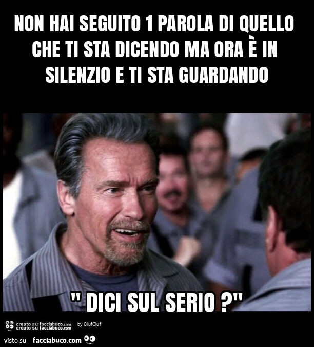 Non hai seguito 1 parola di quello che ti sta dicendo ma ora è in silenzio e ti sta guardando