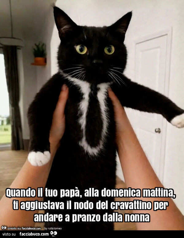 Quando il tuo papà, alla domenica mattina, ti aggiustava il nodo del cravattino per andare a pranzo dalla nonna