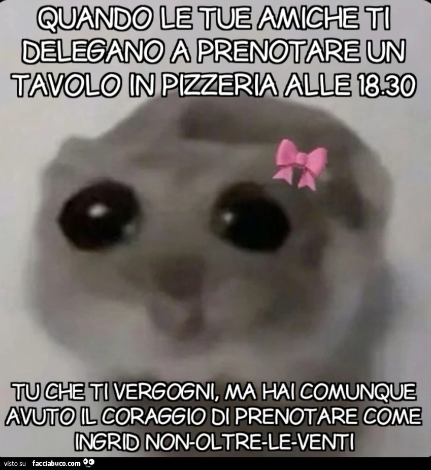 Vaccata