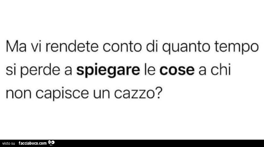 Ma vi rendete conto di quanto tempo si perde a spiegare le cose a chi non capisce un cazzo?