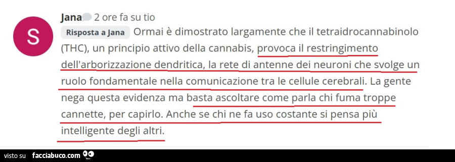 Danni della Cannabis, drogati
