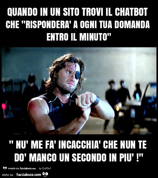 Quando in un sito trovi il chatbot che "risponderà a ogni tua domanda entro il minuto" " nù me fà incacchià che nun te dò manco un secondo in più! "