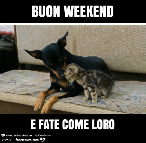 Buon weekend e fate come loro