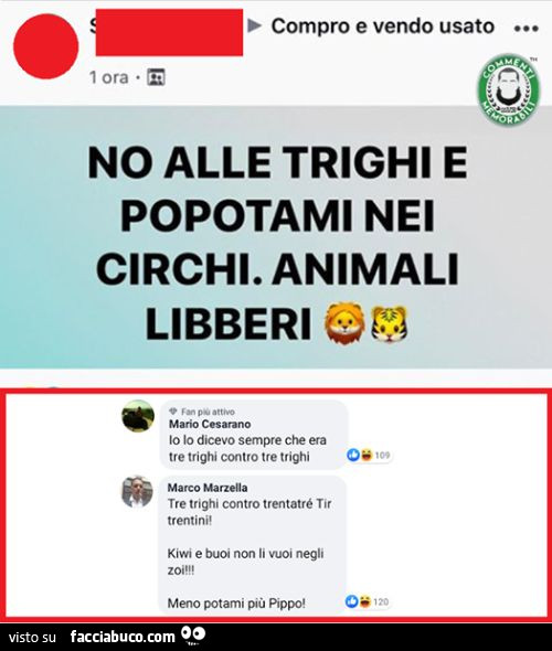 Circhi