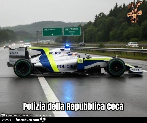 Polizia della repubblica ceca