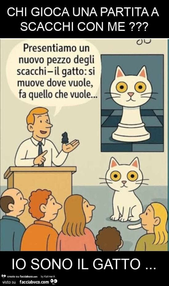 Chi gioca una partita a scacchi con me? Io sono il gatto