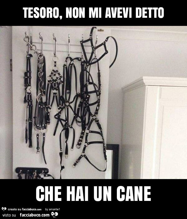 Tesoro, non mi avevi detto che hai un cane