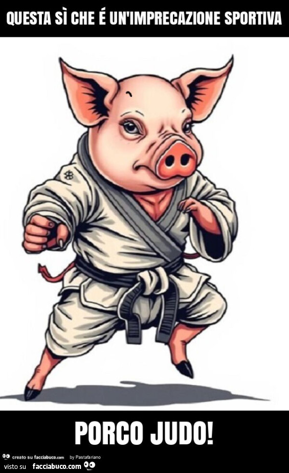Questa sì che é un'imprecazione sportiva porco judo