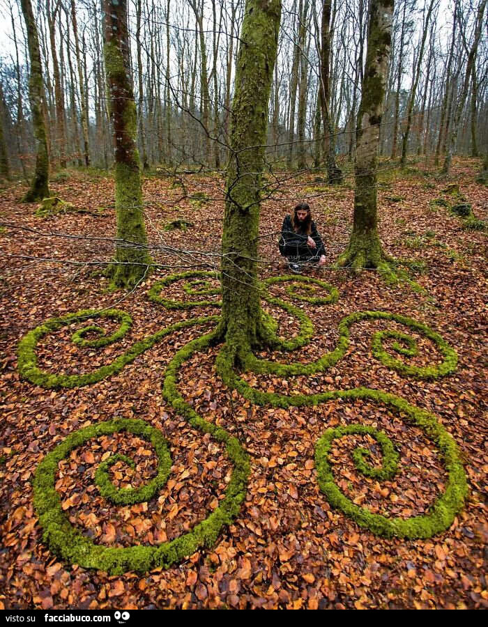 L'artista Gallese Jon Foreman ha una missione particolare: dimostrare che l'Arte non ha bisogno di Musei o Gallerie x emozionare