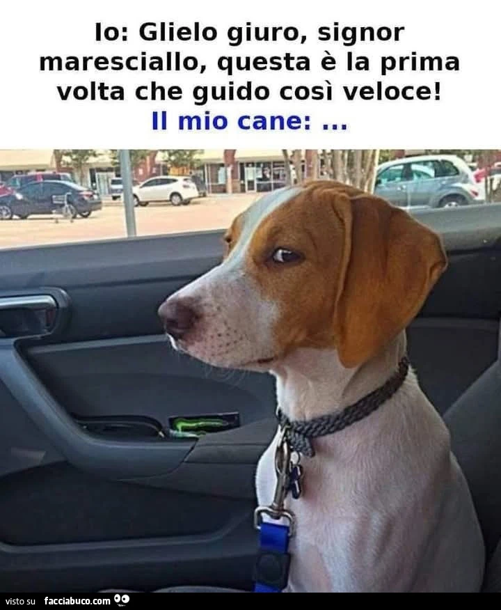 Giuro