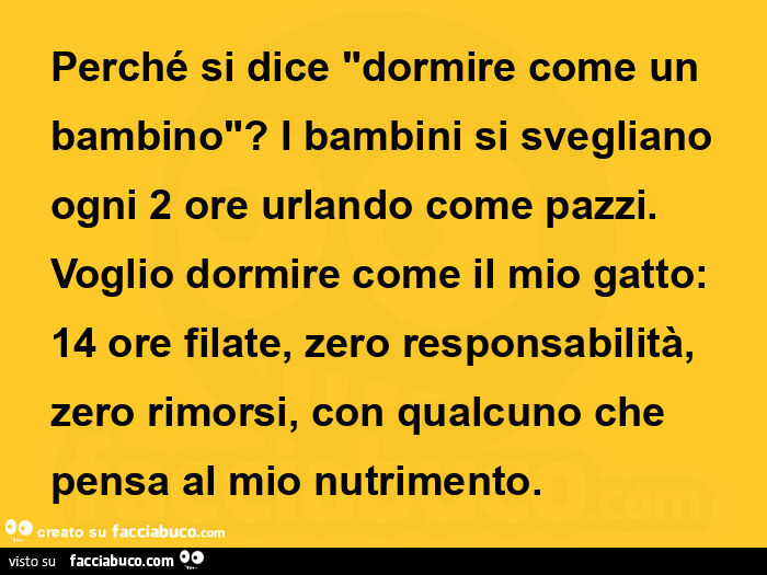 Perché si dice dormire come un bambino? I bambini si svegliano ogni 2 ore urlando come pazzi. Voglio dormire come il mio gatto: 14 ore filate, zero responsabilità, zero rimorsi, con qualcuno che pensa al mio nutrimento