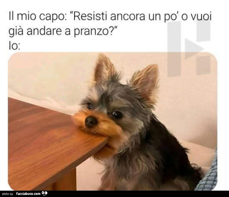 Il mio capo resisti ancora un po' o vuoi già andare a pranzo