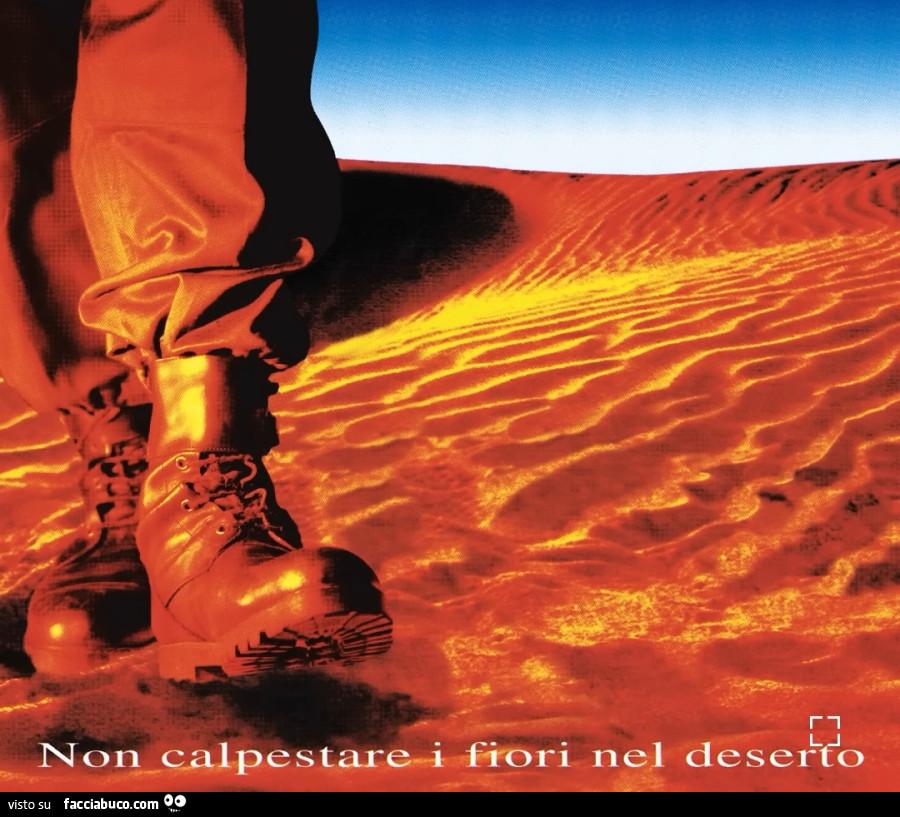 Non calpestare i fiori nel deserto