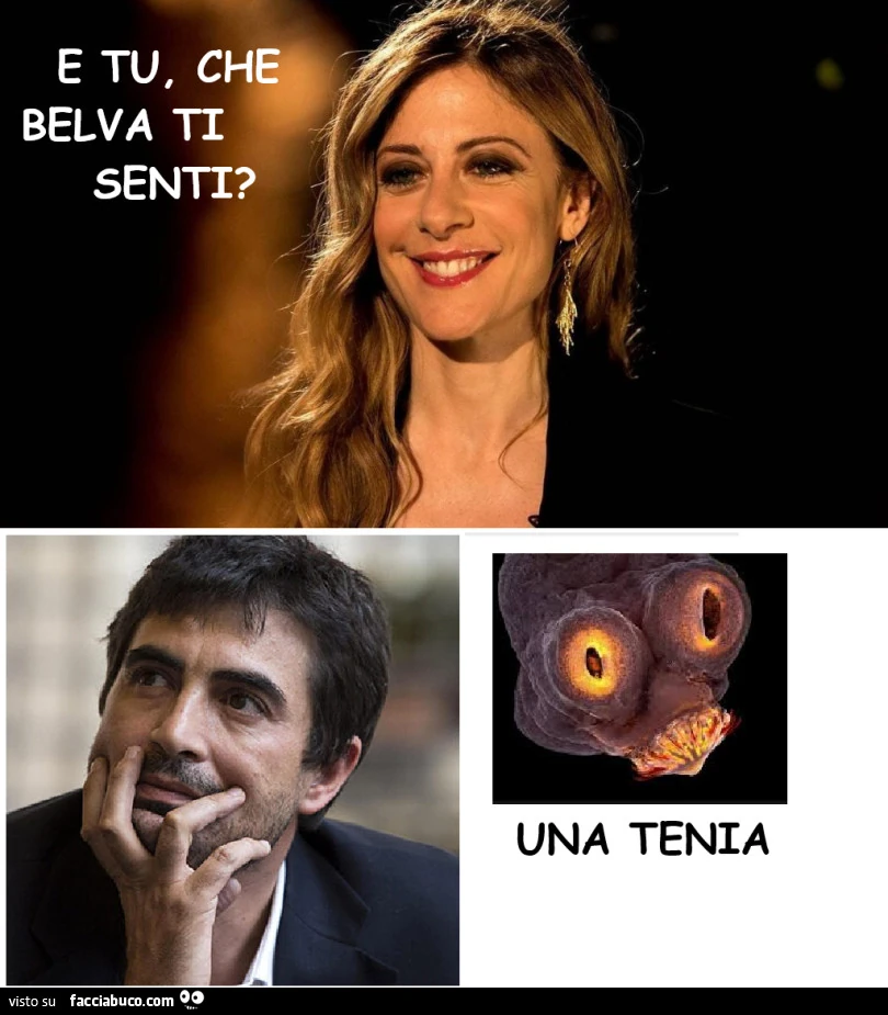 Vaccata