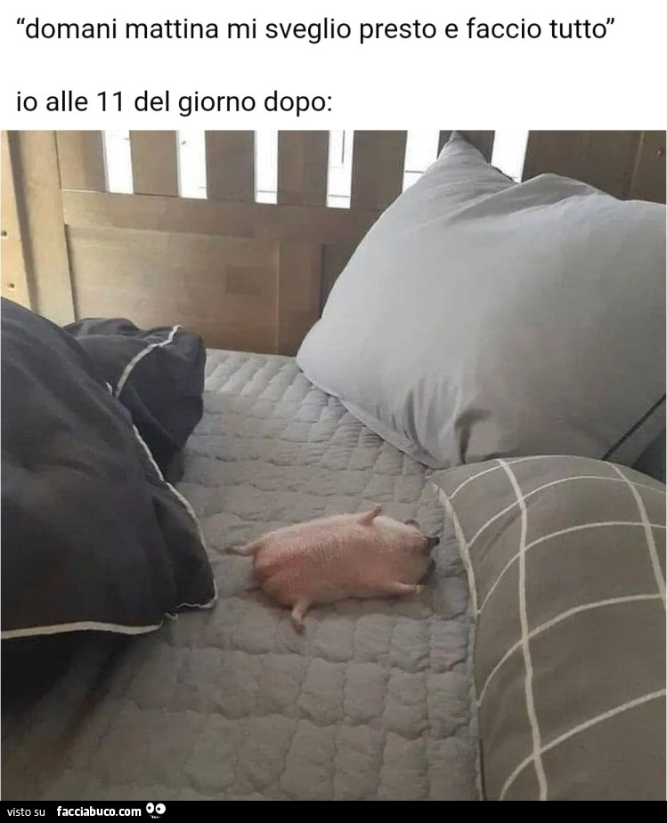 Domani mattina mi sveglio presto e faccio tutto io alle 11 del giorno dopo