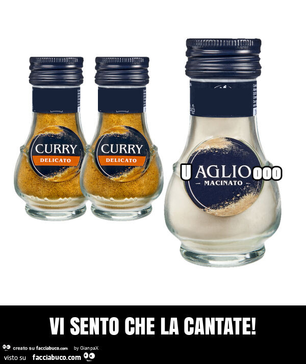 Vi sento che la cantate