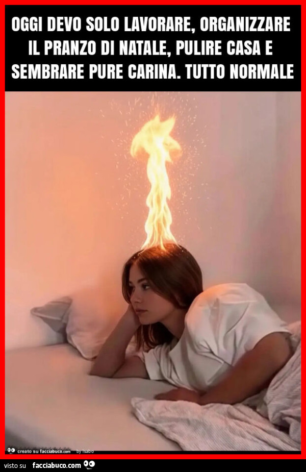 Oggi devo solo lavorare, organizzare il pranzo di natale, pulire casa e sembrare pure carina. Tutto normale