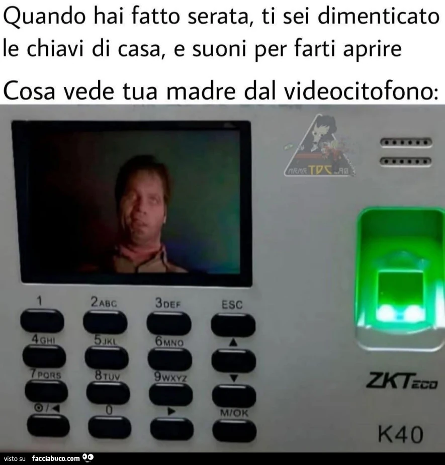 Vaccata