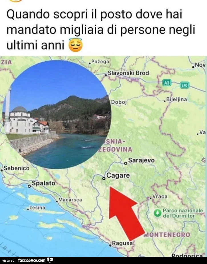 Vaccata