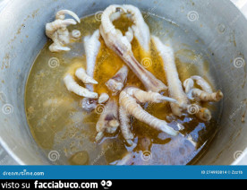 Vaccata