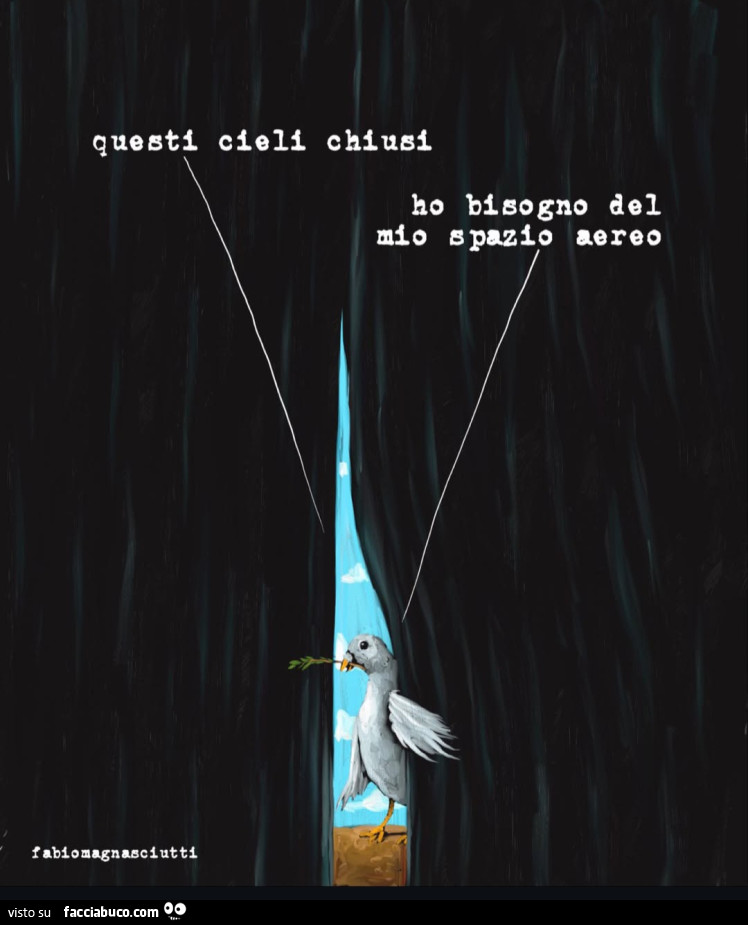 Questi cieli chiusi. Ho bisogno del mio spazio aereo