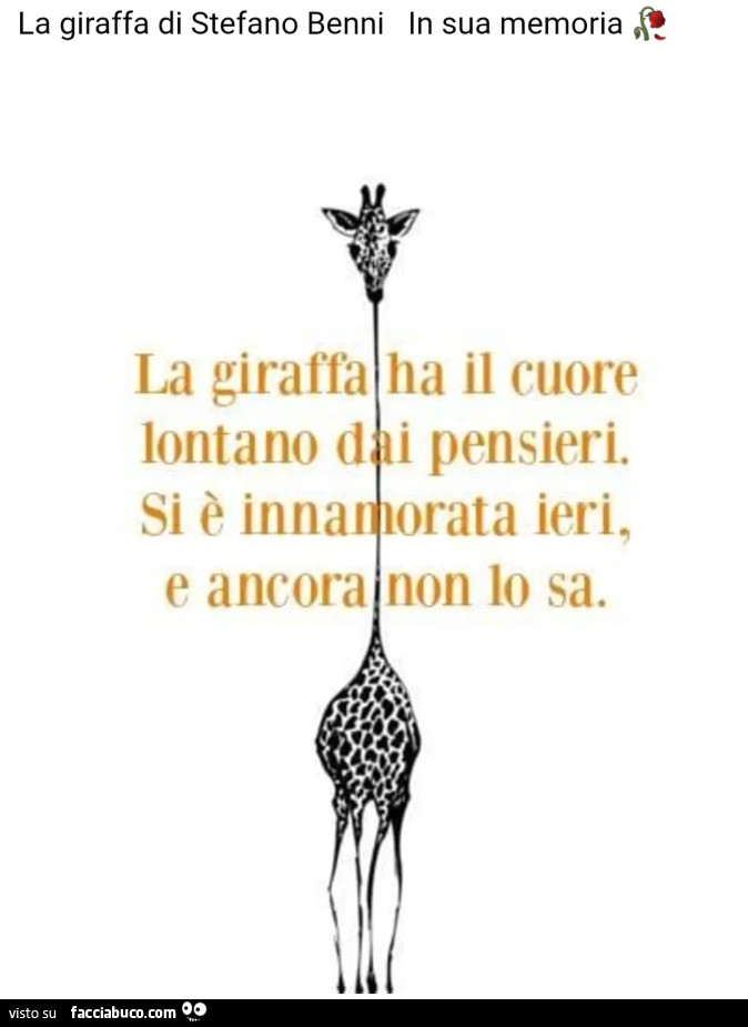 La giraffa di stefano benni in sua memoria