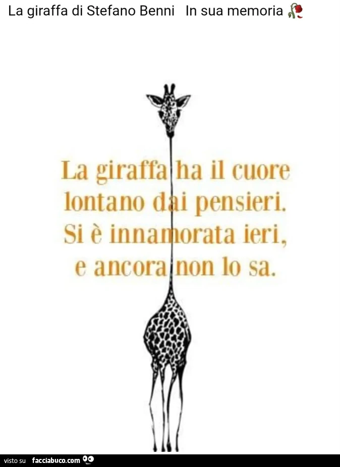La giraffa di stefano benni in sua memoria