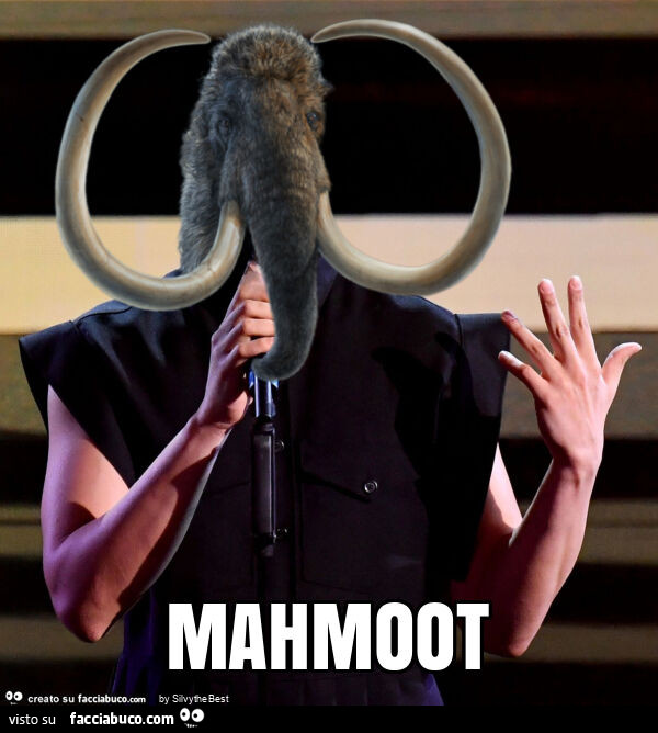 Mahmoot