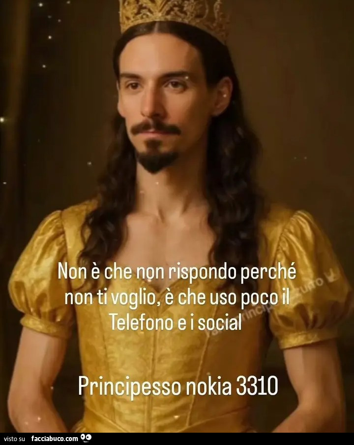 Non è che non rispondo perché non ti voglio, è che uso poco il telefono e i social. Principesso nokia 3310