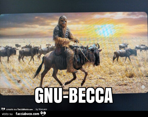 Gnu-becca